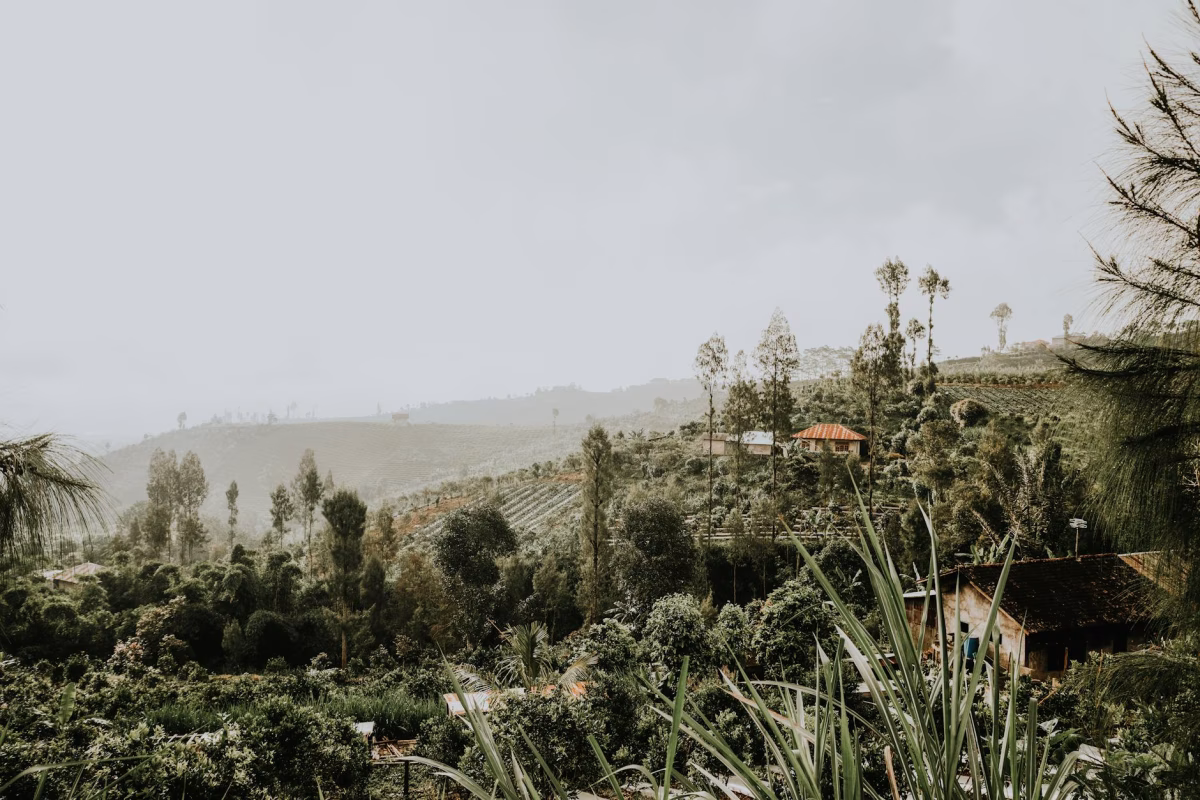 Vizesiz Büyük Filipinler Turu Türk Havayolları ile 11 Gece 13 Gün 2026